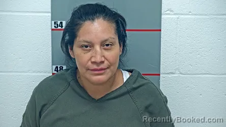 Booking photo from Grayson County, Kentucky