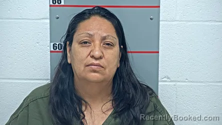 Mugshot of SONIA SALAS ZACARIAS booked in Grayson County, Kentucky on June 12, 2026