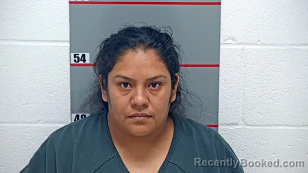 Mugshot of CELIA SANCHEZ TOLEDO booked in Grayson County, Kentucky on June 12, 2026