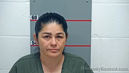 Mugshot of SANDRA SANDOVAL-LOPEZ booked in Grayson County, Kentucky on June 16, 2026