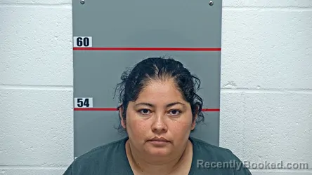 Mugshot of REYNA CASTRO-GAMEZ booked in Grayson County, Kentucky on June 17, 2026