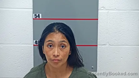 Mugshot of NORMA SALAZAR PERDOMO booked in Grayson County, Kentucky on June 17, 2026