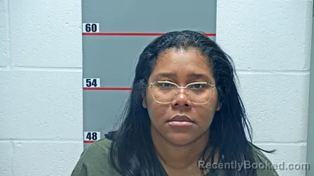 Mugshot of DINA ORTIZ-CASTILLO booked in Grayson County, Kentucky on June 17, 2026