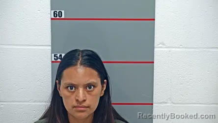 Mugshot of APOLONIA MONICA DIEGO FRANCISCO booked in Grayson County, Kentucky on June 17, 2026
