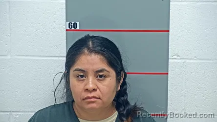 Mugshot of LOURDES HERNANDEZ-HERNANDEZ booked in Grayson County, Kentucky on June 19, 2026