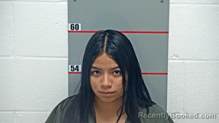 Mugshot of ROSBELY AMARILYS CASTILLO PEREZ booked in Grayson County, Kentucky on June 22, 2026