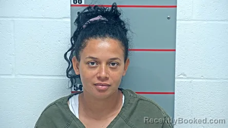 Mugshot of BLANCA LICONA CASTILLO booked in Grayson County, Kentucky on June 22, 2026