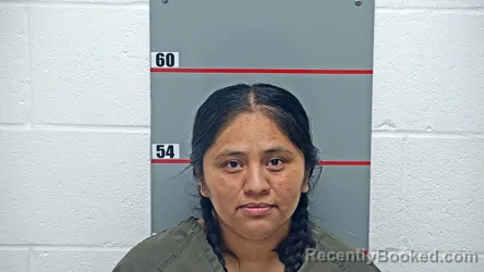 Mugshot of IMELDA MARTINEZ GUTIERREZ booked in Grayson County, Kentucky on June 22, 2026