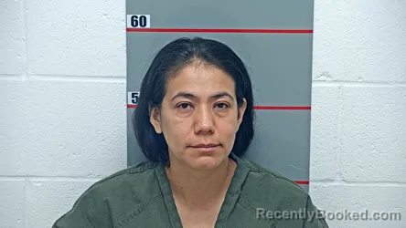 Mugshot of KAREN PINTOR SOLLANO booked in Grayson County, Kentucky on June 24, 2026