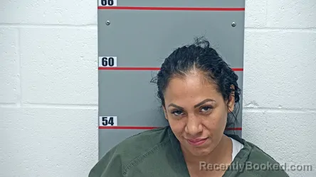 Mugshot of STEPHANIE SALCEDO-VEGA booked in Grayson County, Kentucky on June 24, 2026