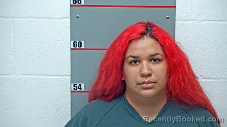 Mugshot of LEISY SUAREZ AGUILAR booked in Grayson County, Kentucky on June 24, 2026