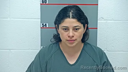 Mugshot of JHOSELIN CAROLINA MEJIA-ORELLANA booked in Grayson County, Kentucky on June 27, 2026