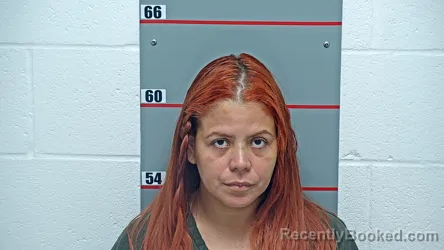 Mugshot of NATALIA VANESSA MAIRENA-VILLALTA booked in Grayson County, Kentucky on June 27, 2026