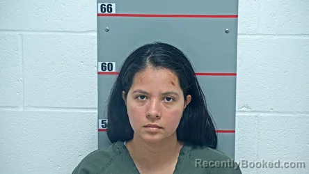 Mugshot of LEIDY RAMOS IPUZ booked in Grayson County, Kentucky on June 27, 2026