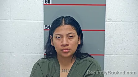 Mugshot of MEILYN TORO-TREJO booked in Grayson County, Kentucky on June 27, 2026