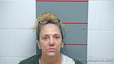 Mugshot of MICHELLE R TOLLEY booked in Grayson County, Kentucky on June 29, 2026
