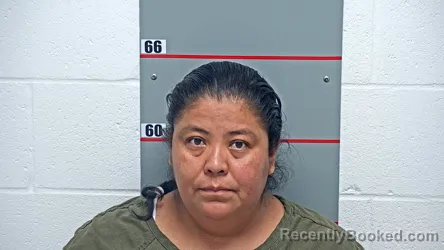 Mugshot of GENESIS GOMEZ-LOPEZ booked in Grayson County, Kentucky on June 29, 2026