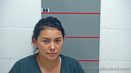Mugshot of ADELINA FLORES ARGUETA booked in Grayson County, Kentucky on June 29, 2026