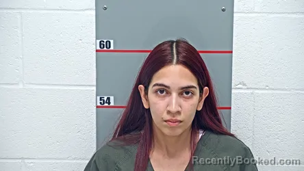 Mugshot of JESSINETH GOVEA ORDO EZ booked in Grayson County, Kentucky on June 29, 2026
