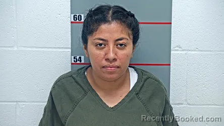 Mugshot of YORLING OBANDO-TENORIO booked in Grayson County, Kentucky on June 29, 2026