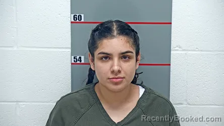 Mugshot of ALMA ROCHA-GUTIERREZ booked in Grayson County, Kentucky on June 29, 2026