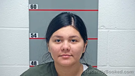 Mugshot of MARGLIS BORJAS-CARRERO booked in Grayson County, Kentucky on July 6, 2026