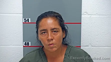 Mugshot of LUZ PALOMINO USTUA booked in Grayson County, Kentucky on July 6, 2026