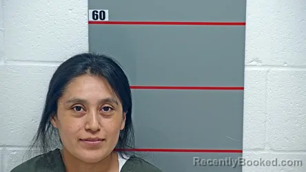 Mugshot of YASMIN HERNANDEZ GONZALEZ booked in Grayson County, Kentucky on July 6, 2026