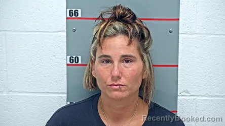 Mugshot of TINA RICHARDS booked in Grayson County, Kentucky on July 7, 2026
