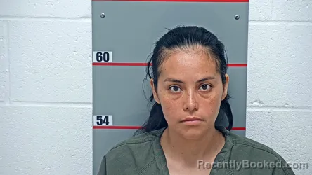 Mugshot of ANDRI AGUILAR-SAMAYOA booked in Grayson County, Kentucky on July 8, 2026