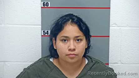 Mugshot of ALEJANDRA DE SANTIAGO RIOS booked in Grayson County, Kentucky on July 10, 2026