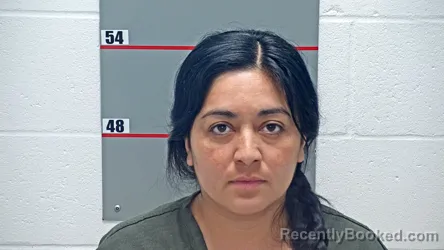 Mugshot of LOURDES PEREZ-FLORES booked in Grayson County, Kentucky on July 10, 2026