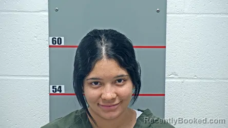 Mugshot of MARIELBYS LOPEZ HERNANDEZ booked in Grayson County, Kentucky on July 13, 2026