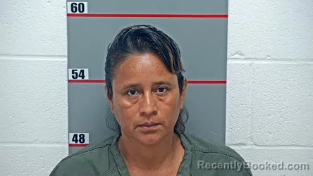 Mugshot of HILDA ASITIMBAY CAJAMARCA booked in Grayson County, Kentucky on July 13, 2026
