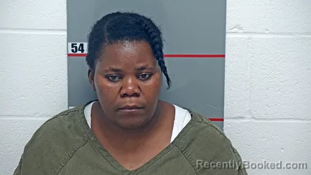 Mugshot of DANISE PIERRE booked in Grayson County, Kentucky on July 17, 2026