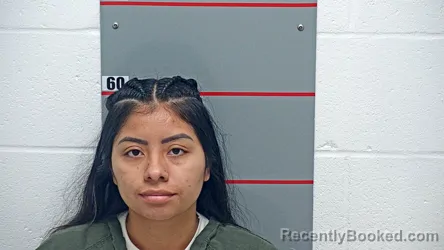 Mugshot of Daneila Perez-Fuentes booked in Grayson County, Kentucky on September 9, 2026