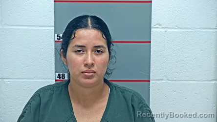 Mugshot of YULIANA RUBIO VILLAGRAN booked in Grayson County, Kentucky on July 29, 2026