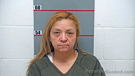 Mugshot of EVELIN HERNANDEZ ROMAN booked in Grayson County, Kentucky on July 29, 2026