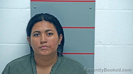 Mugshot of SHERYL CALLEJAS FERNANDEZ booked in Grayson County, Kentucky on August 3, 2026
