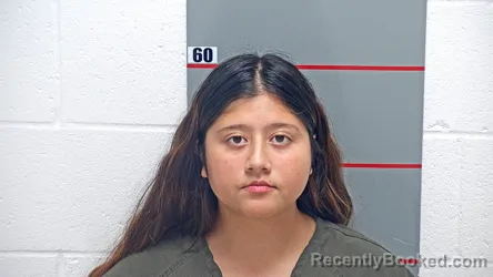 Mugshot of MELANY BELTRAN-MORENO booked in Grayson County, Kentucky on August 3, 2026