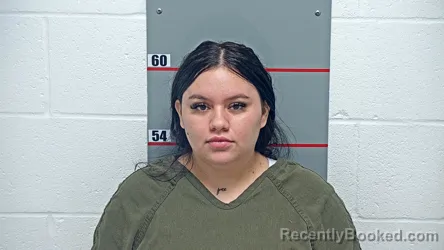 Mugshot of Diniuska Suarez-Flores booked in Grayson County, Kentucky on August 17, 2026