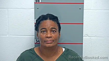 Mugshot of Miriam Attride booked in Grayson County, Kentucky on August 17, 2026