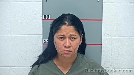 Mugshot of Yuleixis Hernandez Solano booked in Grayson County, Kentucky on August 19, 2026