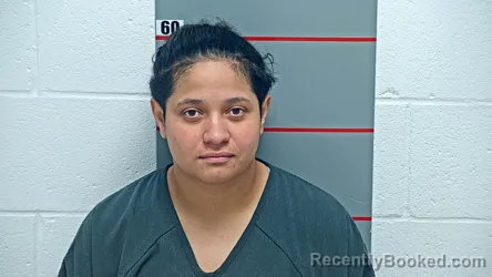 Mugshot of Adriana Menocal-Cisnados booked in Grayson County, Kentucky on August 26, 2026