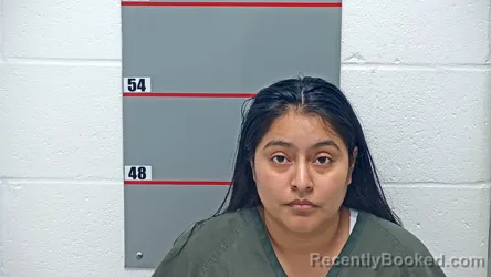 Mugshot of Maria Rosario Sis-Garcia booked in Grayson County, Kentucky on August 26, 2026