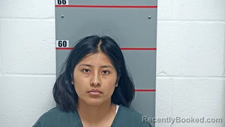 Mugshot of Bernice Vargas-Palcios booked in Grayson County, Kentucky on August 28, 2026