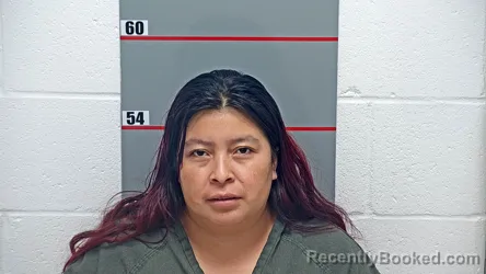 Mugshot of Rosa Perez-Domingo booked in Grayson County, Kentucky on August 28, 2026