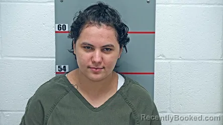 Mugshot of Yerling Martinez Torrez booked in Grayson County, Kentucky on August 28, 2026