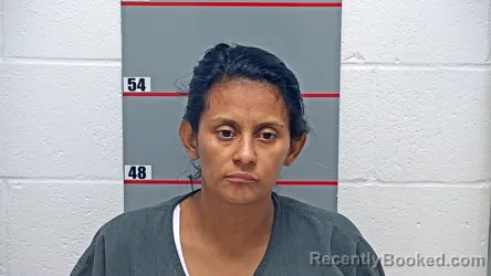 Mugshot of Maryan Hernandez booked in Grayson County, Kentucky on August 28, 2026