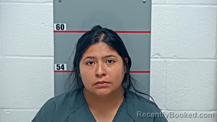 Mugshot of Nicolle Sanchez Castro booked in Grayson County, Kentucky on August 31, 2026